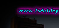 transexual,transsexual,tsashley,ts,ashley love,toledo,ohio,entertainer,escort,ts escort,ts model